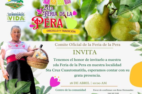 Todo listo para la Feria de la Pera en Tochimilco