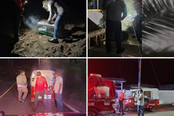 Proteccion Civil Salvando del peligro de abejas en un domicilio, un trabajo minucioso