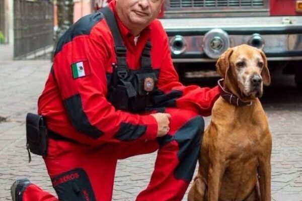 ADIOS HÉROE VUELA ALTO